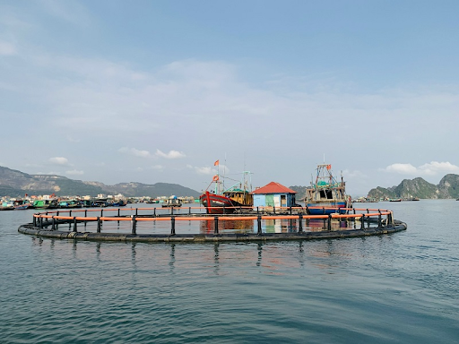 Ống nhựa HDPE - Giải pháp bền vững trong Ứng dụng của ống nhựa trong nuôi trồng thủy sản