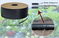 Ống tưởi nhỏ giọt 11 ly dài 1.000m kh/cách 20cm  BB-ONG*11 LY